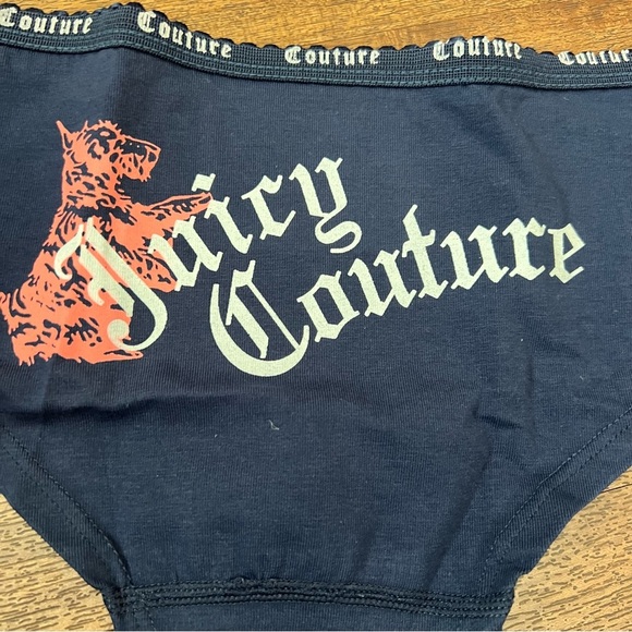 NWT JUICY COUTURE RUBY HOLIDAY BOYBRIEF - Picture 3 of 4